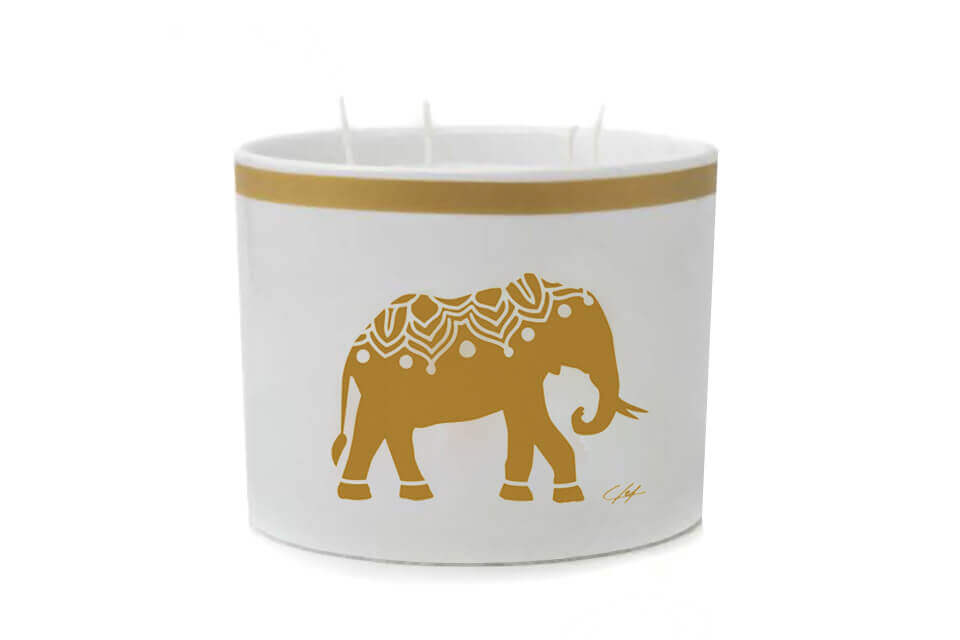 candle-cup elephant