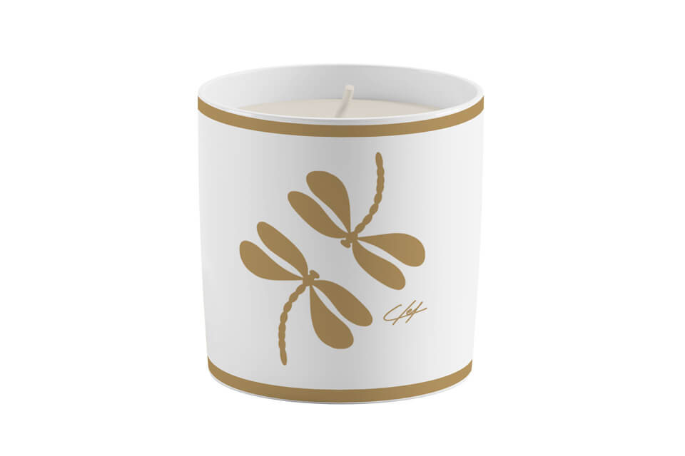 candle-cup dragonfly