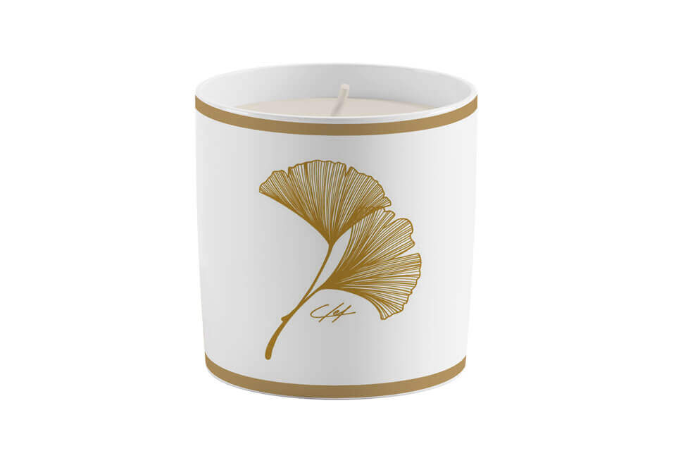 candle-cup gingko