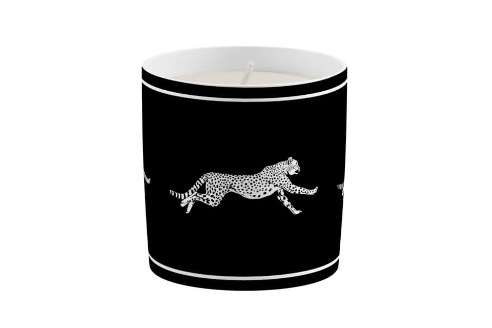 candle-cup cheetah