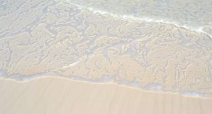 Gr_15