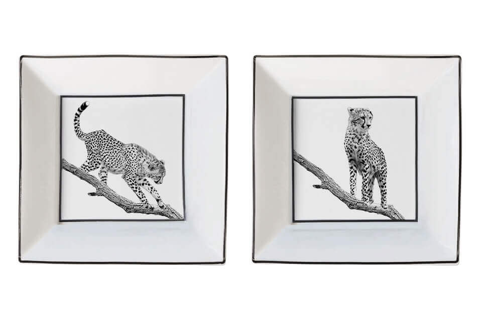 square videpoche cheetah